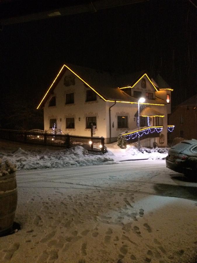 Hotel Alpenhof Markneukirchen Eksteriør bilde